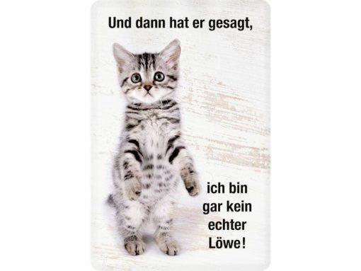 Katze – kein echter Löwe – Metallschild